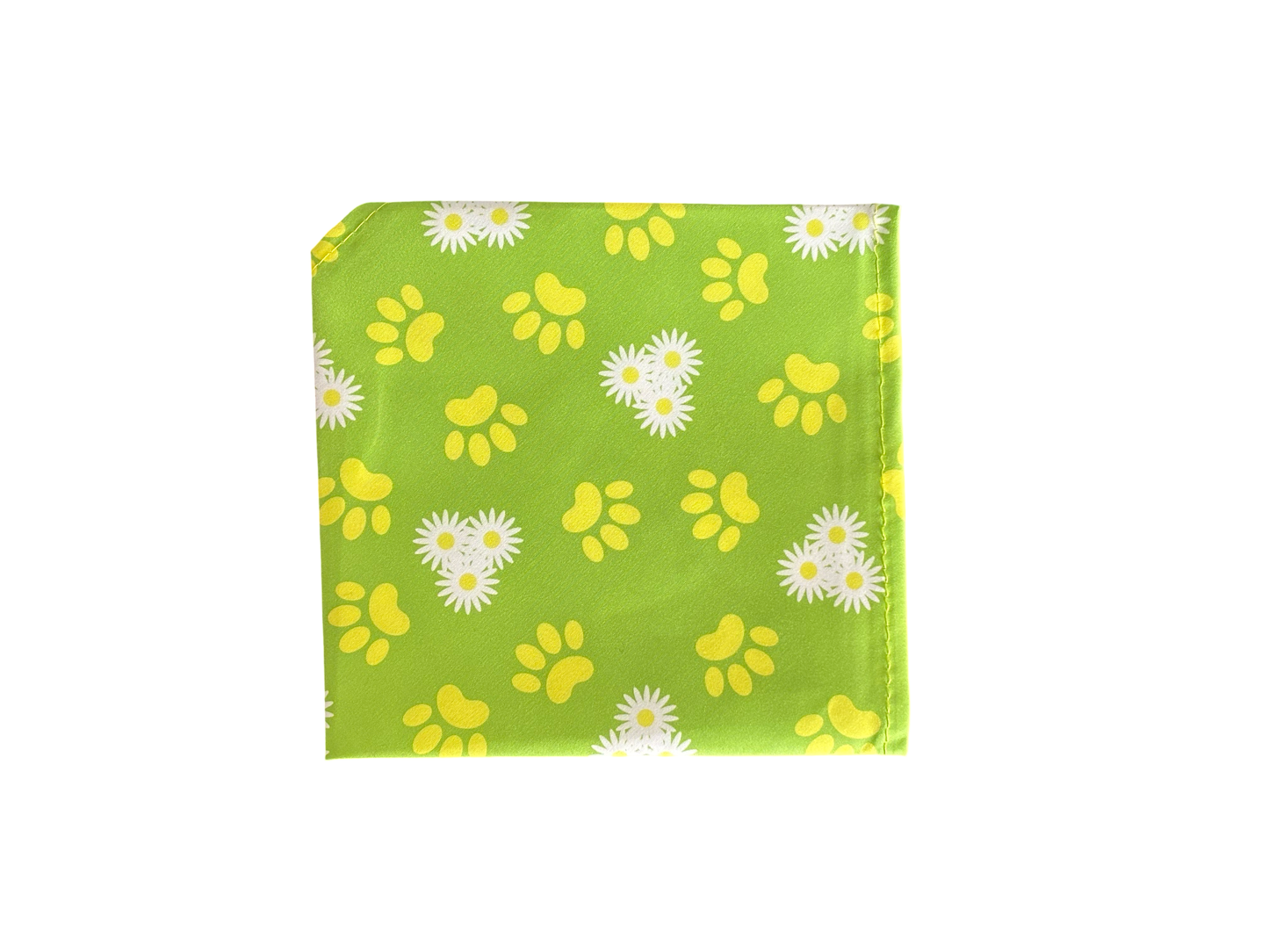 Bandanna