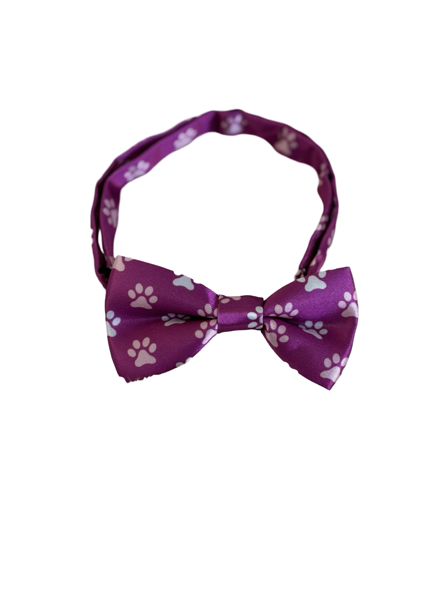 Bow~Tie Collar