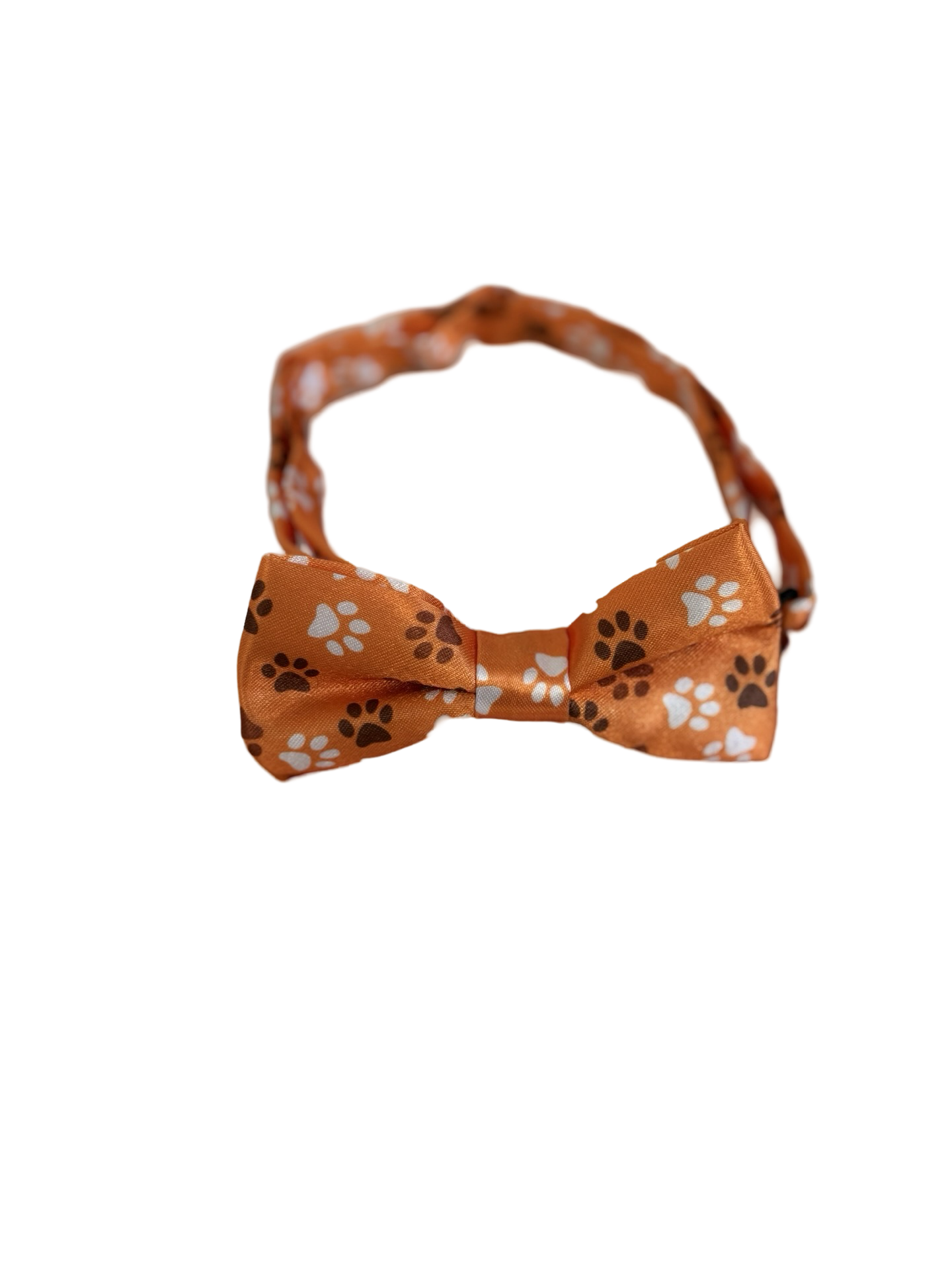 Bow~Tie Collar