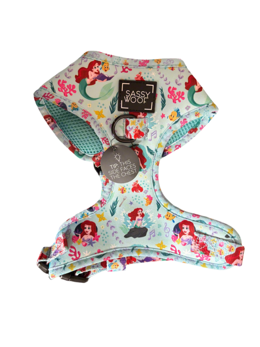 Disney Harness S