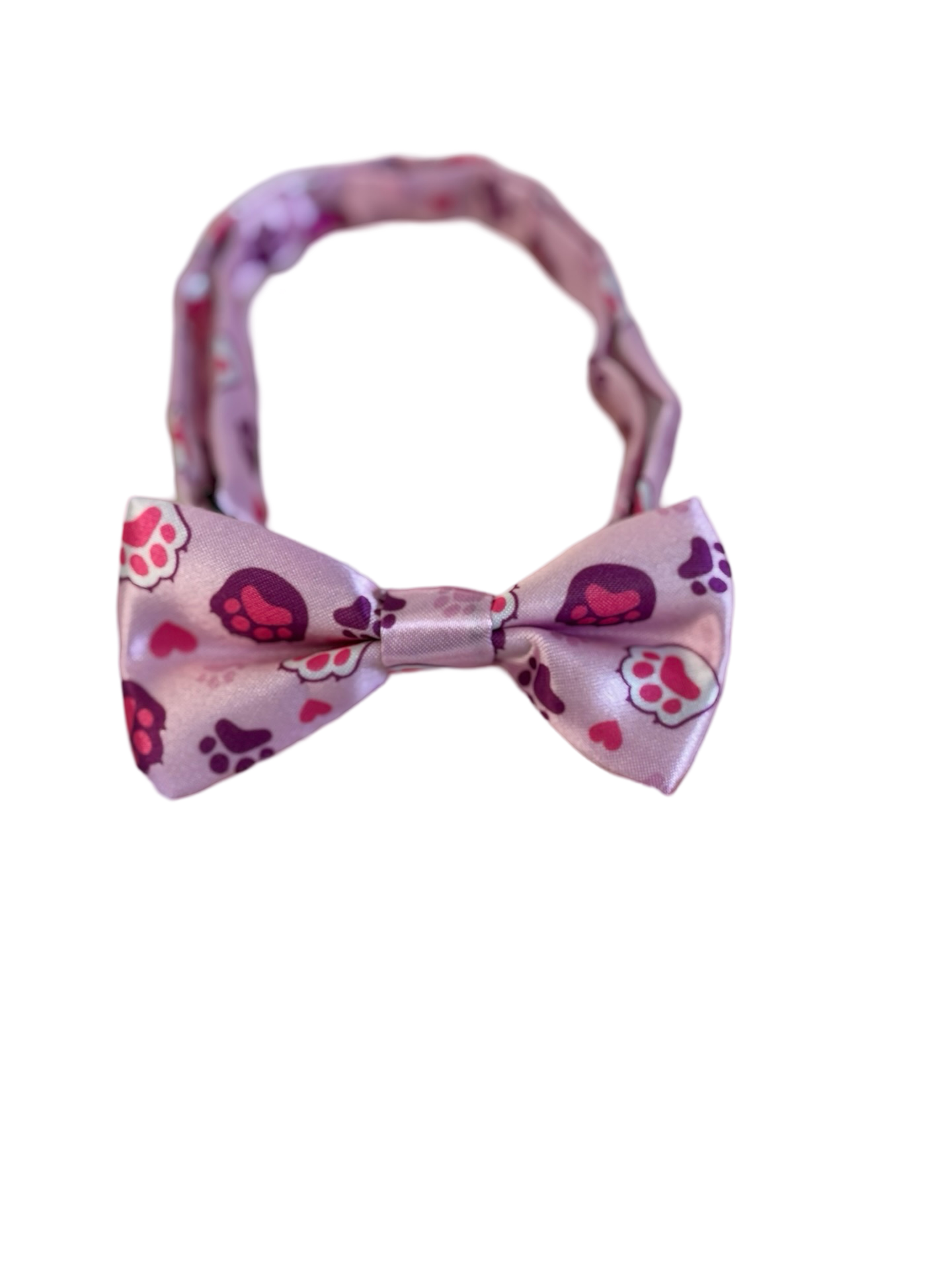 Bow~Tie Collar