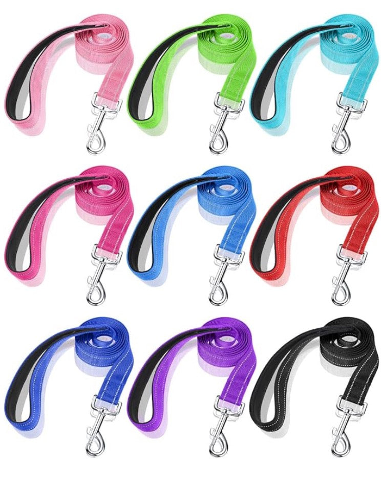 Nylon Leash