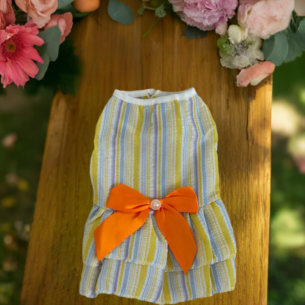 Paws & Pastry Co. Closet!!