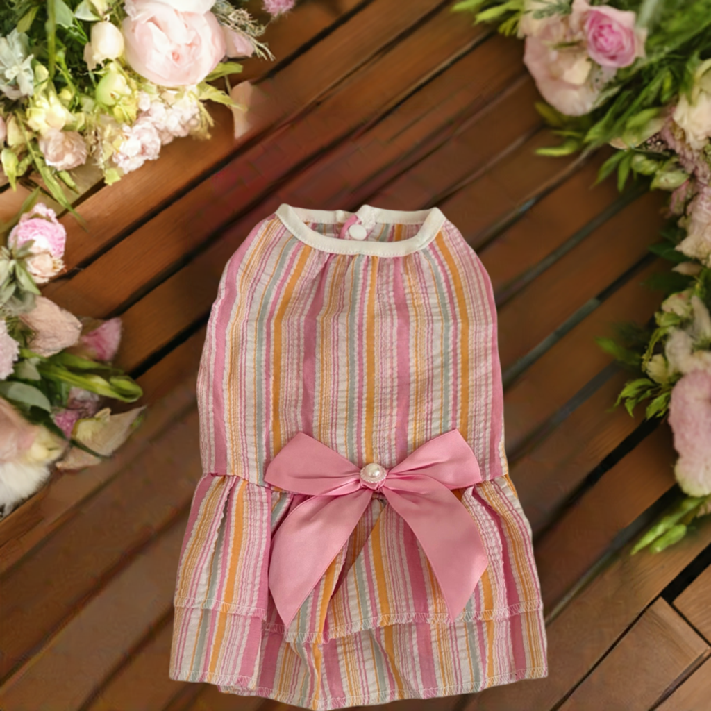 Paws & Pastry Co. Closet!!